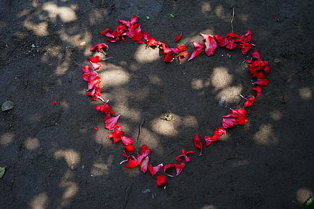 high angle photo of red petals forming heart shape on ground thumbnail