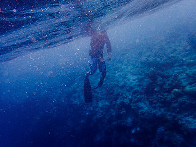 person in scuba diving suit underwater thumbnail