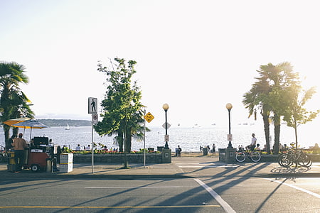 two person riding bicycle on sidewalk near road and beach side during daytime thumbnail
