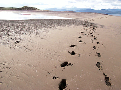 footprints at the beach during day thumbnail