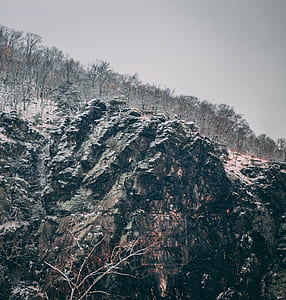 gray rocky mountain with bare trees under gray sky thumbnail
