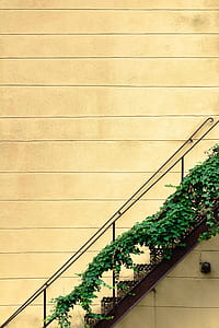 black metal stair on brown wall thumbnail