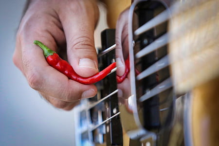 person holding red chili thumbnail