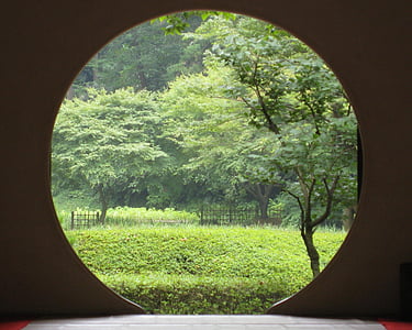 trees and bushes outside room with round door thumbnail