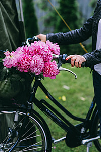 Woman holding a bicycle with beautiful pink flowers in the basket thumbnail