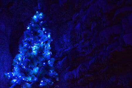 turn-on christmas tree thumbnail