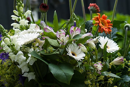 selective focus photography of orange and white petaled flowers thumbnail