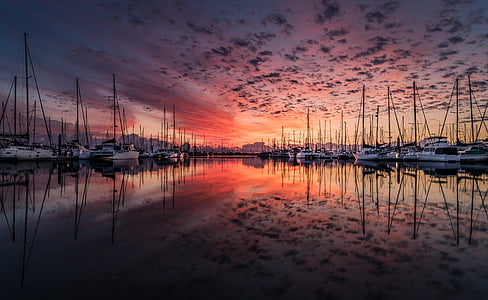 white yacht near harbor thumbnail