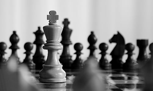 selective focus photography of king chess knight thumbnail