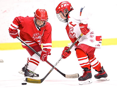 two person playing ice hockey thumbnail