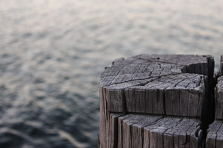 wood, sea, water, ocean thumbnail