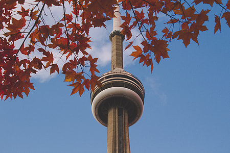 shallow focus photography of brown concrete tower thumbnail