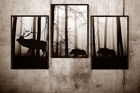 three assorted animal photos thumbnail