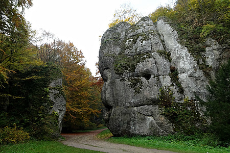 The Founding Fathers, Poland thumbnail