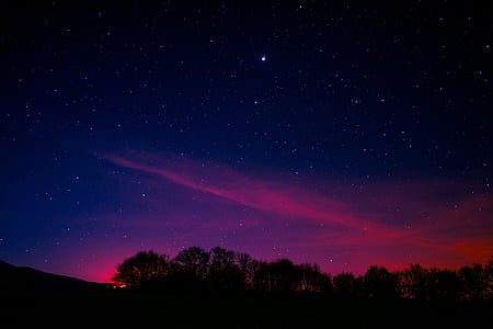trees under starry sky thumbnail