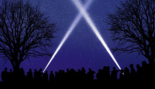 silhouette artwork of people standing between trees thumbnail