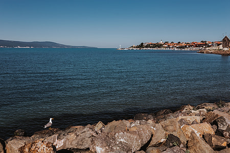 Coast of the Black Sea, Sunny Beach, Bulgaria thumbnail