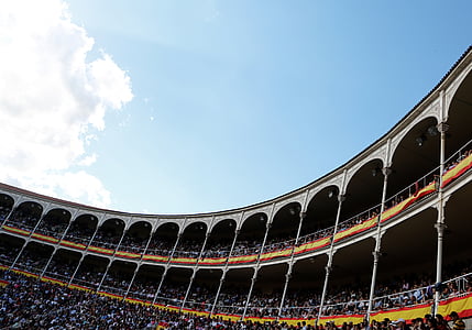 stadium audience seat thumbnail