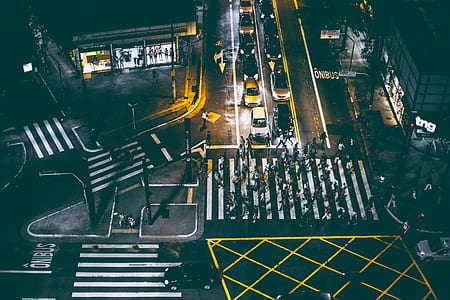 group of people walking on pedestrian lane thumbnail