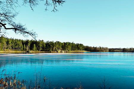body of water near forest during daytime thumbnail