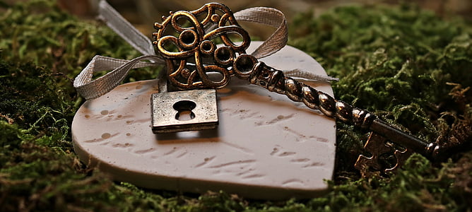 heart-shaped brown wood with padlock on grass thumbnail