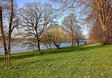 landscape, fjord, baltic sea, denmark, spring, park thumbnail