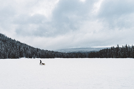 person walking on snow field with dog during day thumbnail