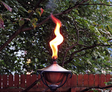 close-up photo lighted torch near green tree thumbnail