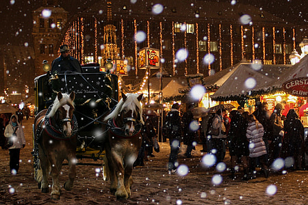 man riding horse carriage raining snow thumbnail