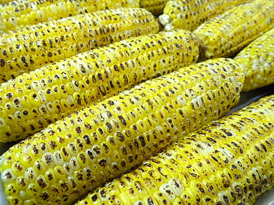 closeup photo of corns thumbnail