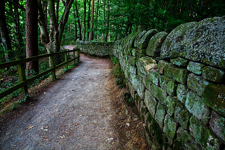 piled stone fence surrounded with green trees thumbnail
