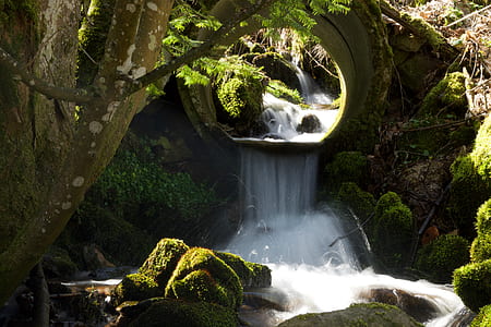landscape photography of flowing water on tunnel in forest thumbnail
