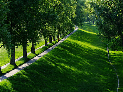 photo of green grass field with trees thumbnail