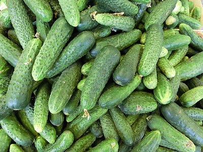 cucumber lot thumbnail