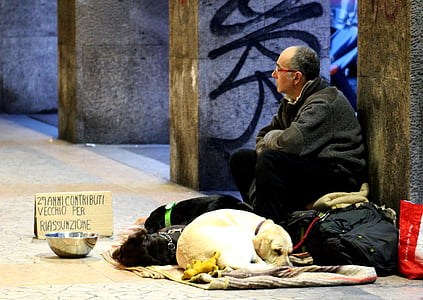 man wearing gray jacket sitting beside short-coated white dog thumbnail