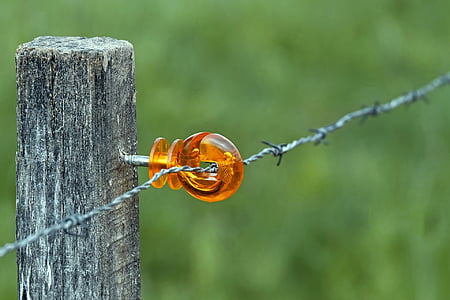 bulb wires thumbnail