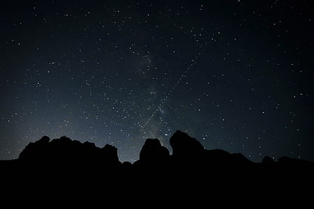 silhouette of forest during nighttime thumbnail