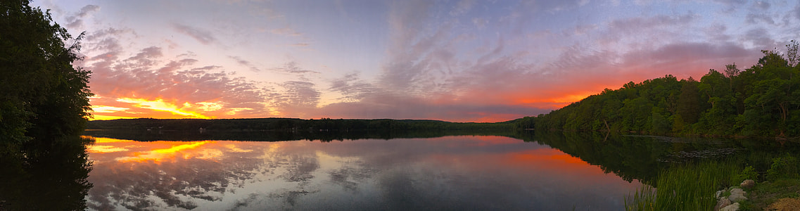 trees and lake in landscape photography thumbnail
