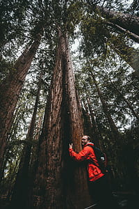 photo of man wearing jacket hugging tree trunk thumbnail