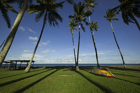 yellow and red canoe on green grass field surrounded by palm trees thumbnail