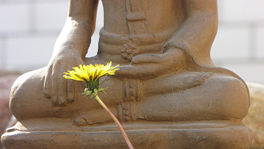 yellow flower before statue during daytime thumbnail