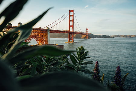 red bridge on body of water thumbnail