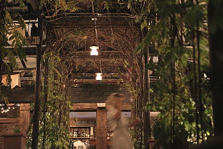 woman taking near column with vines thumbnail
