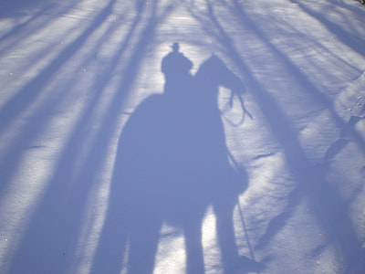 close up photo of shadow of horse man thumbnail