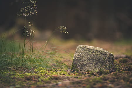 gray stone on green field thumbnail