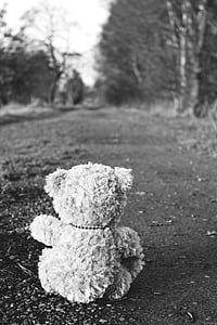 grayscale photo of bear plush toy on ground thumbnail