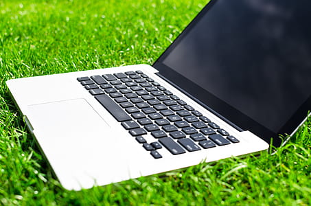 laptop, outside, grass, lawn thumbnail