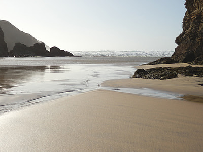 seashore during daytime thumbnail