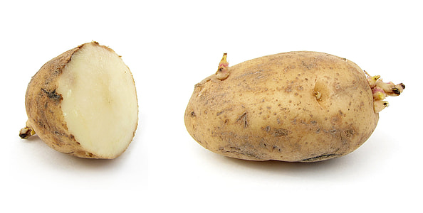 Potato, Earth Apple thumbnail