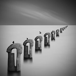 photo of birds on gray stone thumbnail